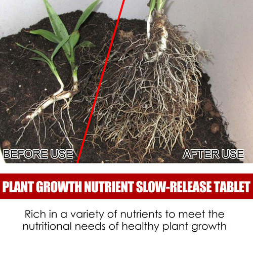Yegbong Plant Growth Nutrient Sustained Release Tablets General Nutrient Tablets for Potted Hair and Root Growth of Fruit and Vegetable Plants
