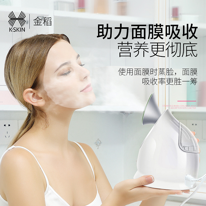 Golden Rice Hot Spray Facial Steamer Home Beauty Instrument Nano Spray Hydration Device Wholesale Small Facial Steamer Spray Device