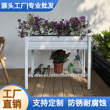 �����̨�N����¶̨����ͥԺ�Nֲ����ܻ����X�Ͻ���Nֲ�仨��