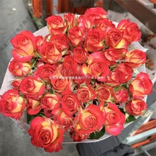 ��ɫ�űȶ��^õ���r�����������������ֱ�lͬ�����f��ˮ�ٺϲ廨