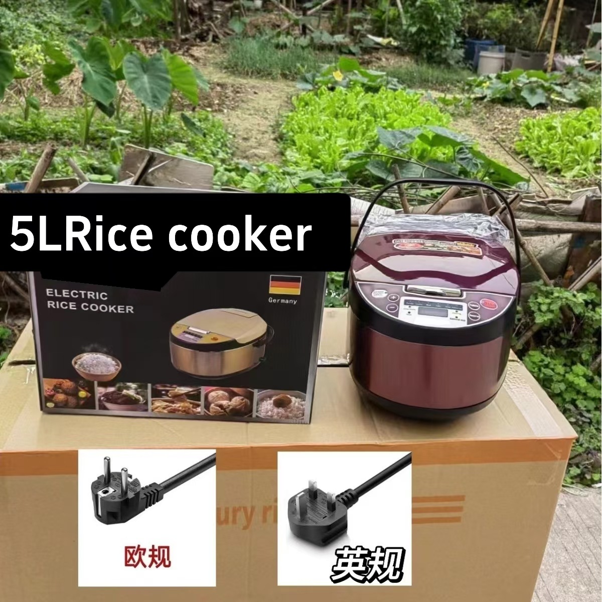 5L Rice Cooker English Smart Electric Rice Cooker CE Certification BS Certification Foreign Trade Cross-border Electric Cooker Wholesale