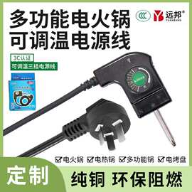 多功能调温线电火锅电源线纯铜电锅配件线插入针式凹槽平口控温线