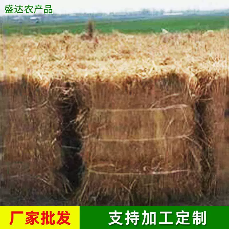 厂家批发治沙稻草 干草秸秆西北畜牧养殖干种植农业用干稻草