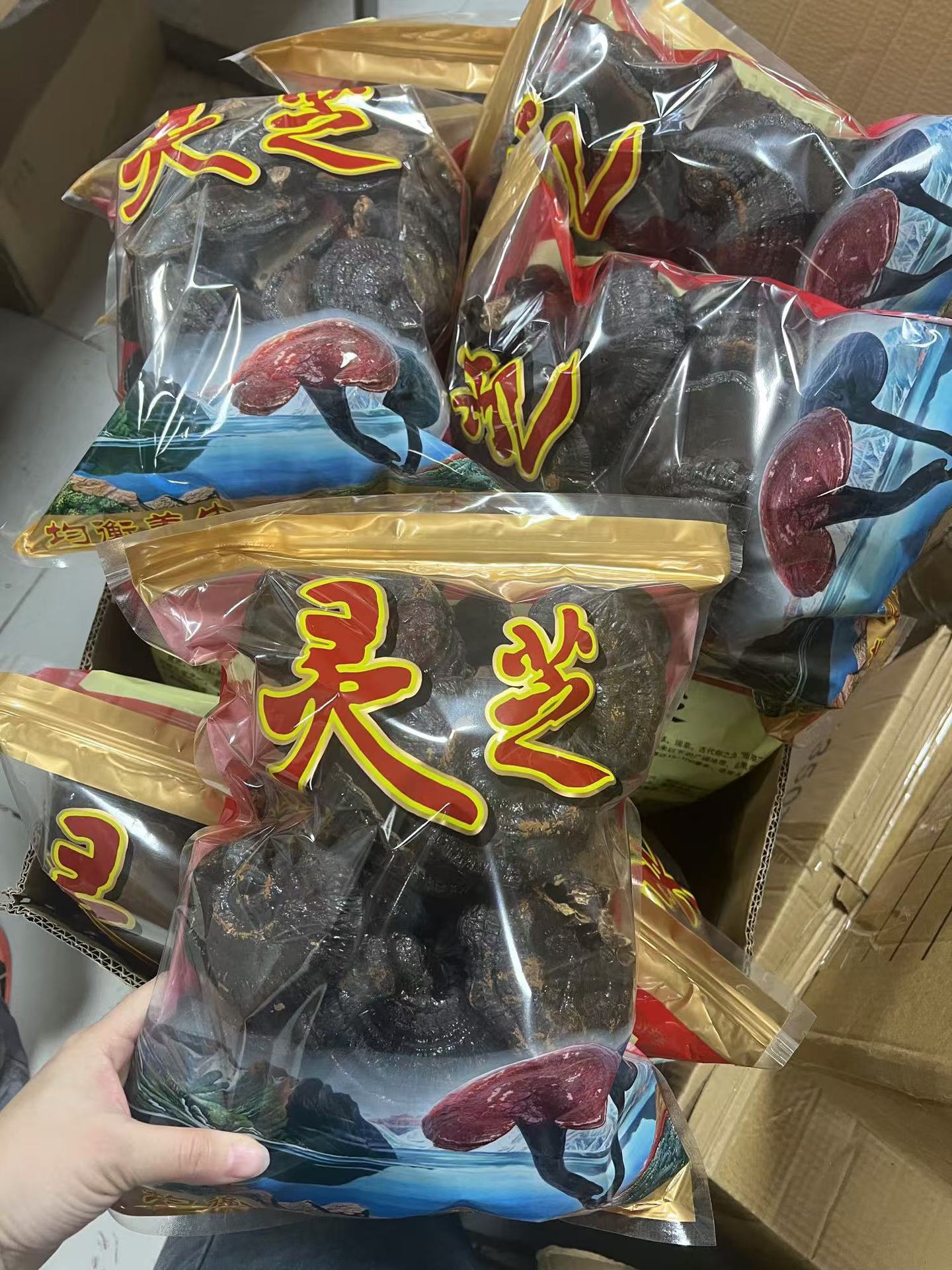 Dried Black Reishi Mushroom Whole Lingzhi Slices for Tea and Wine Soaking 100g in use