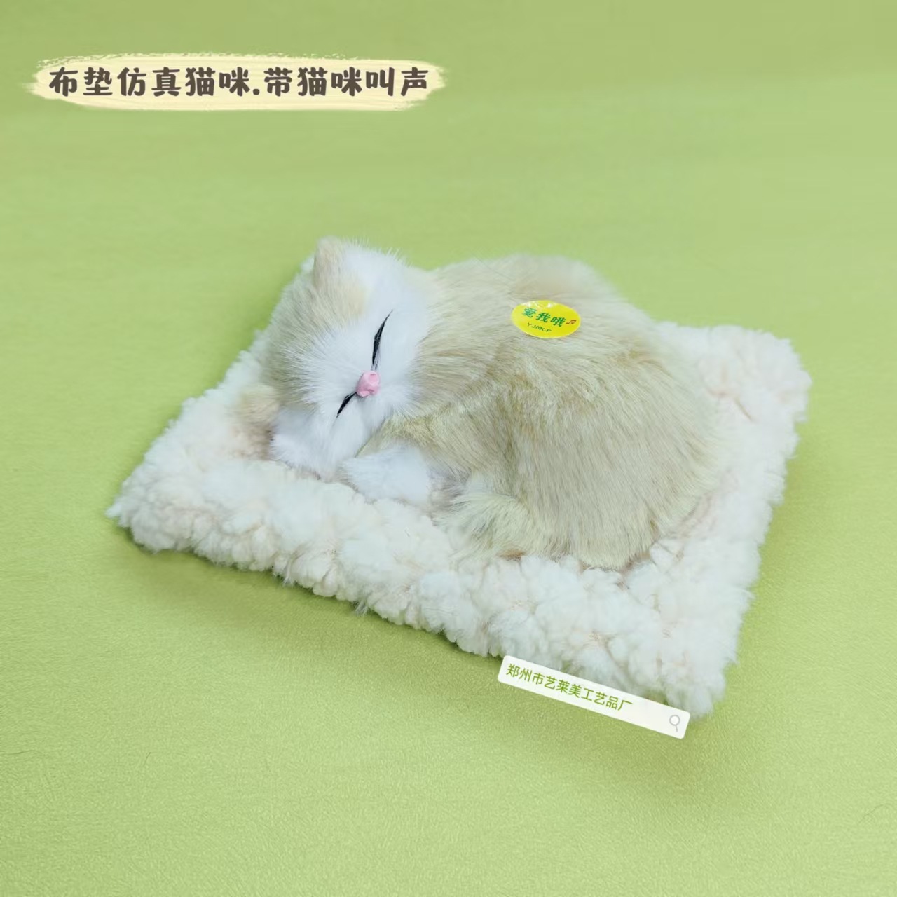 베이지색 천 패드 베이지색 작은 고양이