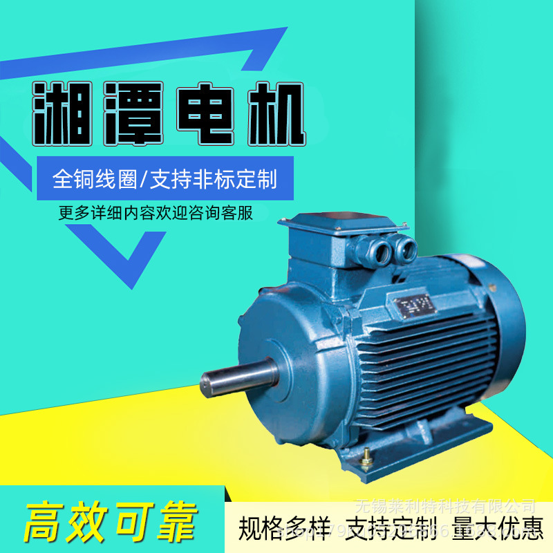 Hunan Xiangtan Electric Motor Ye3 Series High-Efficiency Three-Phase Asynchronous Motor with All-Copper Coils, Direct Supply from the Manufacturer