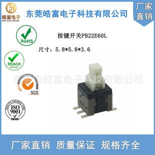��HOF�����i�_�P5.8�NƬ������PPA���b10.0�_��8.0���^�o�i���I