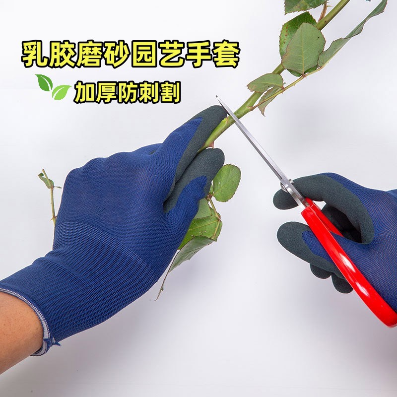 O1CN01vmSmDR2JZHckWu2FU_!!2519