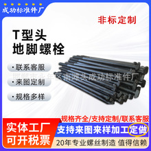 T型头地脚螺丝 高强度T字头预埋件 T型带孔螺栓 异型螺栓螺母定做