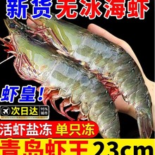 青岛大虾鲜活虾包邮0盐冻海虾大青虾基围虾海鲜水产速冻冷冻