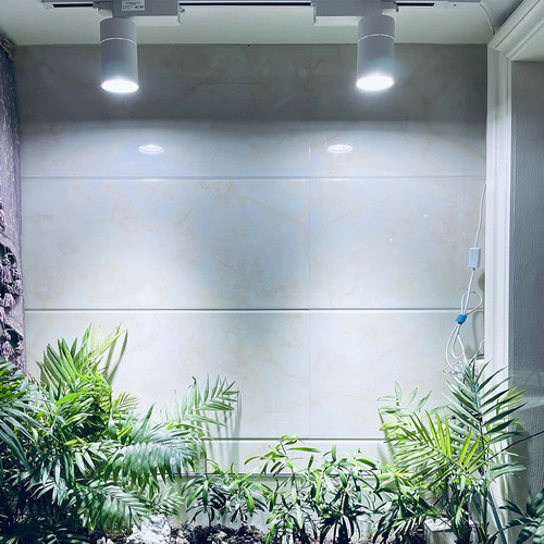 LED plant growth light, green wall plant supplement light, gardening flower shop, succulent, full spectrum rail track light