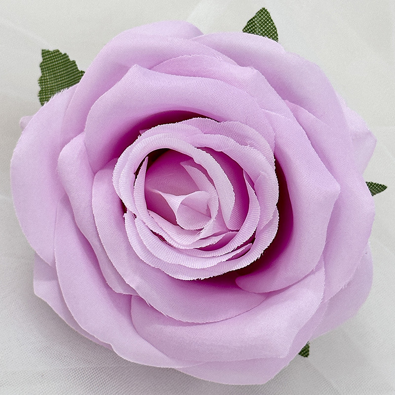 인터넷 연예인 보라색