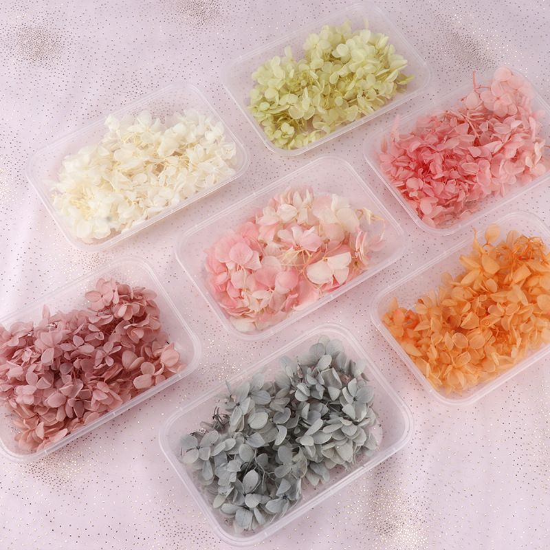 永生绣球小盒装5g木绣球手工diy花环蜡烛相框花材团扇干花材料包1