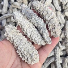 批发干海参 白黄玉18头25头35头55头75头 淡干海参 黄肉参深海参