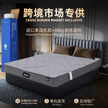 �羳؛Դ���z���|����ϯ��˼�o�����|�Ƶ������p�˪������b���|