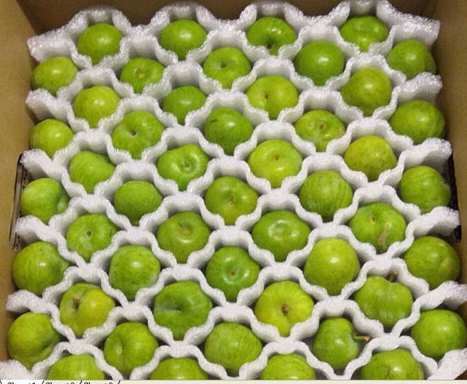 厂家供应李子缓冲包装泡沫/成型异形拉伸李子快递包装