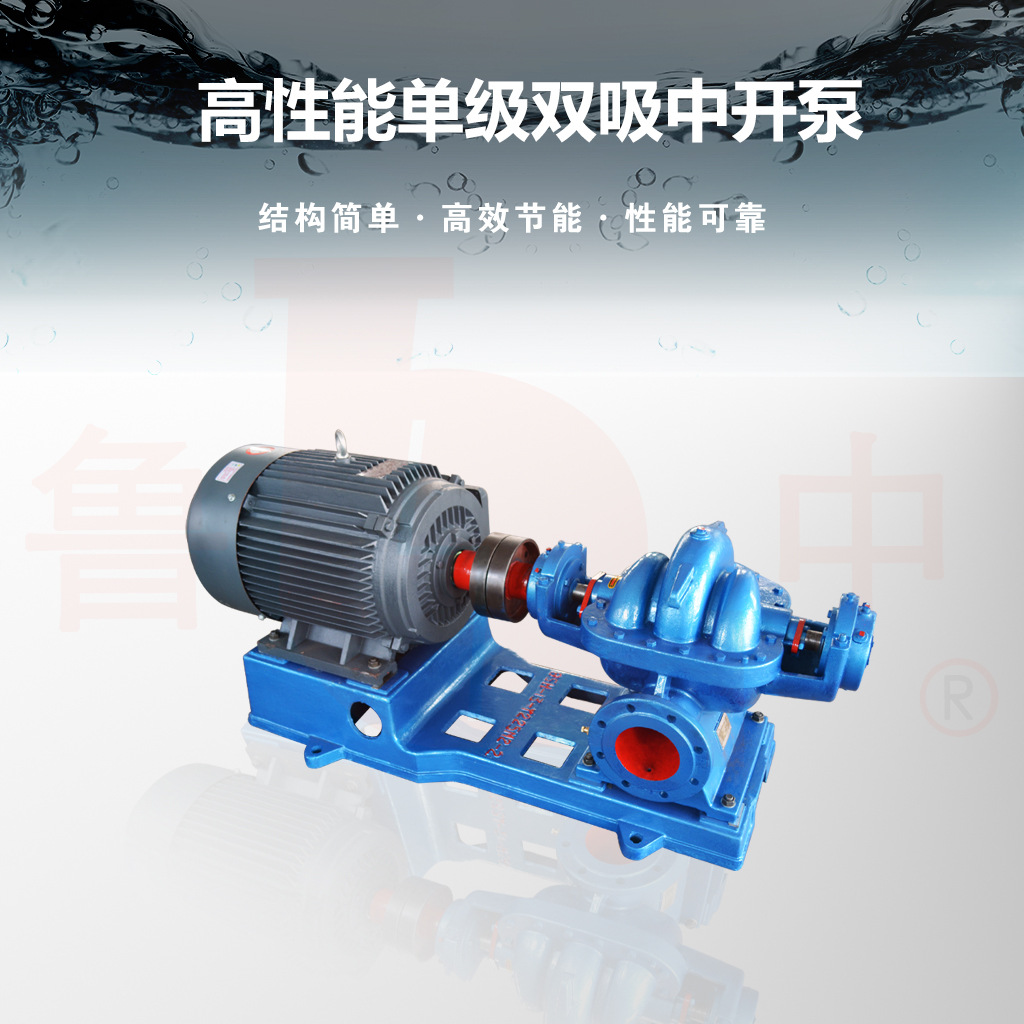 10Sh-19型双吸中开泵单级卧式水泵单级中开泵淄博鲁中牌厂家