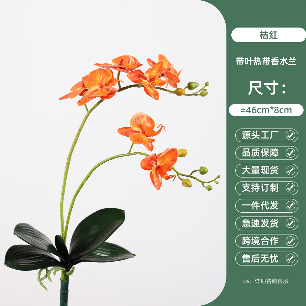 오렌지