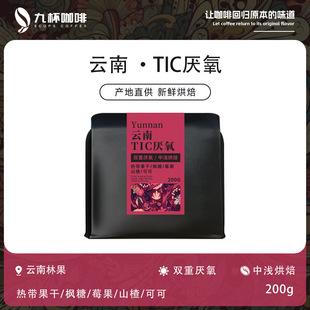 ���-TIC�����p��̎���М\�決���ȶ�200g����ű�����AAA�֛_