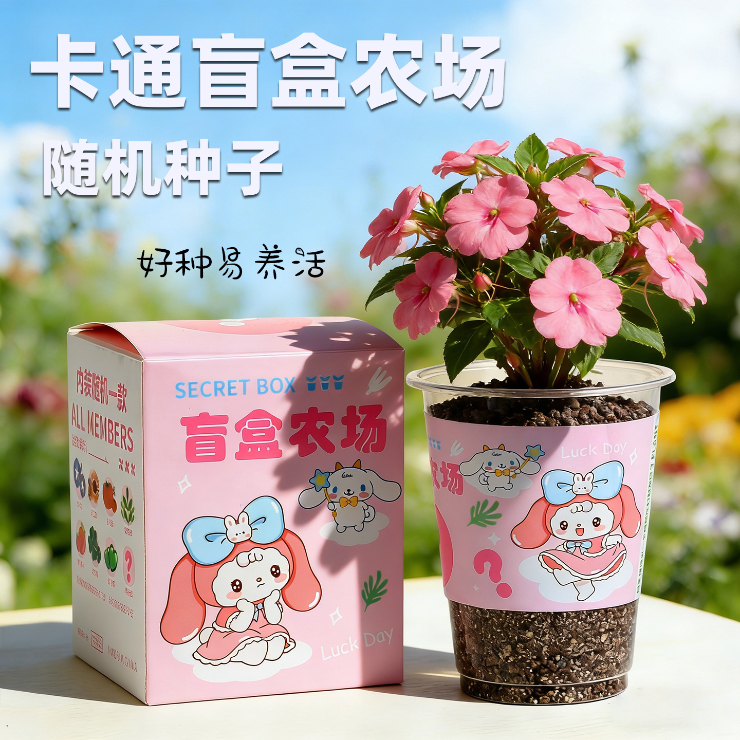 Nuevas plantas ciegas cajas de niños pequeños macetas decoración de escritorio mini maceta verde 1 de junio regalo del día de los niños image 12