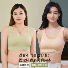 新款美背内衣女 无钢圈固定杯背心式文胸罩聚拢裹胸瑜伽运动抹胸