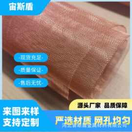 防静电油漆过滤铜网信号屏蔽铜丝网半导体散热铜编织网