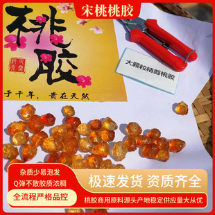 Դ�^�a�ط������l�˹��޼��w�����z Peach gum���zѩ�������׽M��