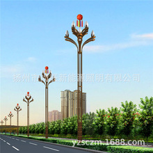 大型景观灯中华灯5米6米8米9米10米玉兰灯高杆路灯LED市政广场灯