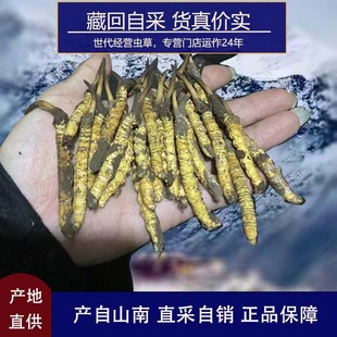 2025���x�Ĳݲ؅^�����x��ɽ���r�x�ݸ�ԭ���aƷһ�����l