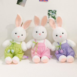Cross-Border New Hairpin Dressing Rabbit Doll Cute Couple Rabbit Pillow Girls Gift Wholesale Plush Toys
