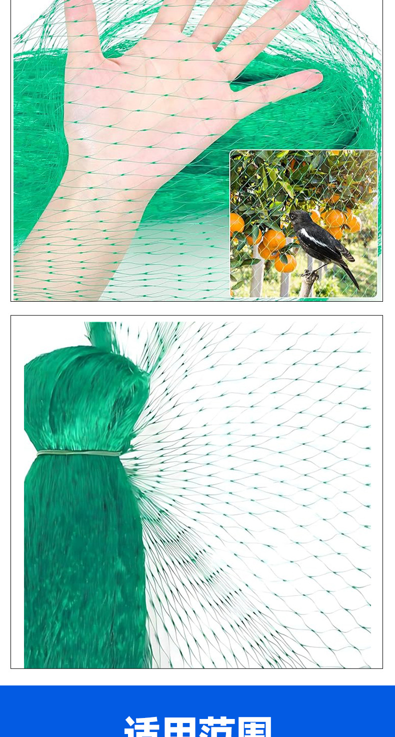 Image_1718707850724_07