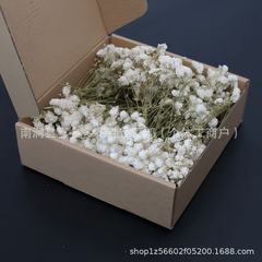 盒装散装绿杆白满天星干花永生花diy配材亚马逊热卖云南厂家直供