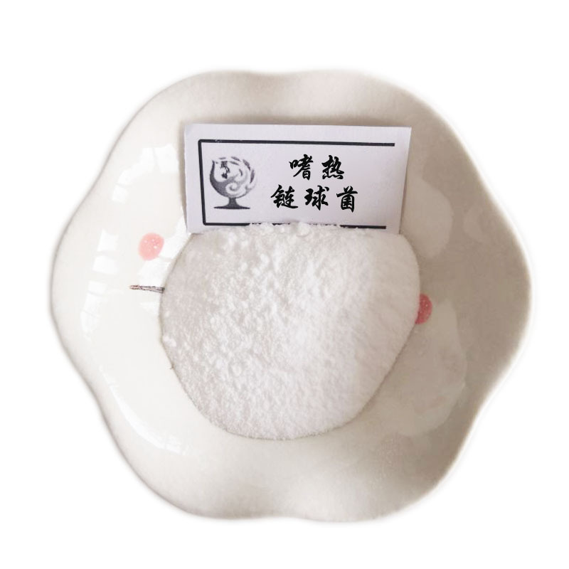 嗜热链球菌100亿cfu/g 益生菌冻干粉 乳酸菌粉 益生菌原料