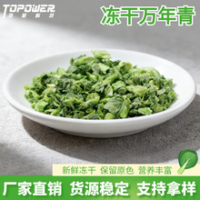 ɢ�b�F؛����Óˮ�f����FD�����Ϻ��� ���Óˮ�߲˸����l