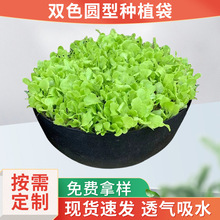 �pɫ���@���߲˷Nֲ���o�������ַNֲ�AͰ�����ݻ�����ֲ�����