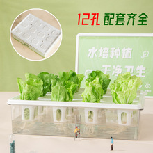 �o���������ܻ����ͥˮ���߲��O�����˷N�˙C�̨���ˮ���Nֲ��