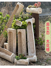 ����ľ�^���ۘ䘶ͥԺ�L��ľ�۷���ľ������⻨���̨�辰��