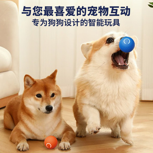 �羳temu��ҧ���ԄӶ����������˽␞����늄ӹ�����ߴ�ĥ��