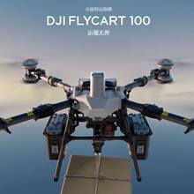 �m�ô�&acute;��DJI FlyCart100 �����d��80���� �����\ݔ�o�˙C �m��