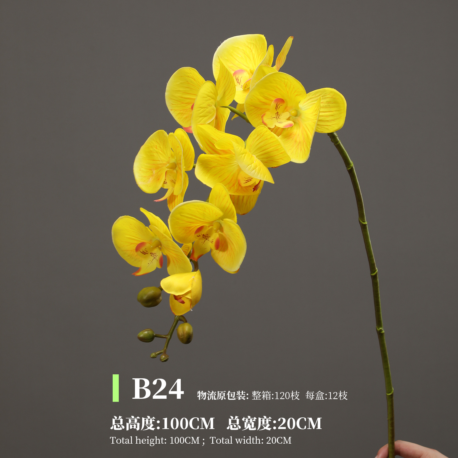 노란색 B24