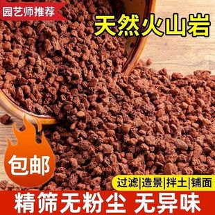 Volcanic Stone Granular Paving Tengchong Fine Screen Lactic Acid Natural Volcanic Rock Aquarium Landscape Fleshy Mountain Tortoise Fish Tank