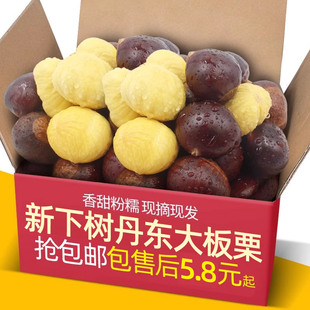 �����䡿�������r���Fժ���|����5�������Fȥë�����������_��
