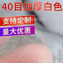 40Ŀ�Ӻ��ɫ�O�W ȫ���� ����ϩ�W���~���Bֳ�r�W�~����W�����l