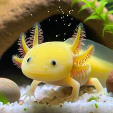 ���ǿ����~���������~��������һ��һĸ�ɷ�ֳ�������������^�p�~