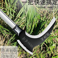 砵róݹpݿ񵶘z^r߸^B