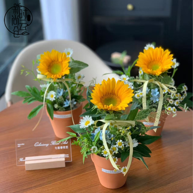 教师节仿陶塑料防水耐砸抗摔花盆盒向日葵鲜花花束小盆栽花艺材料|undefined