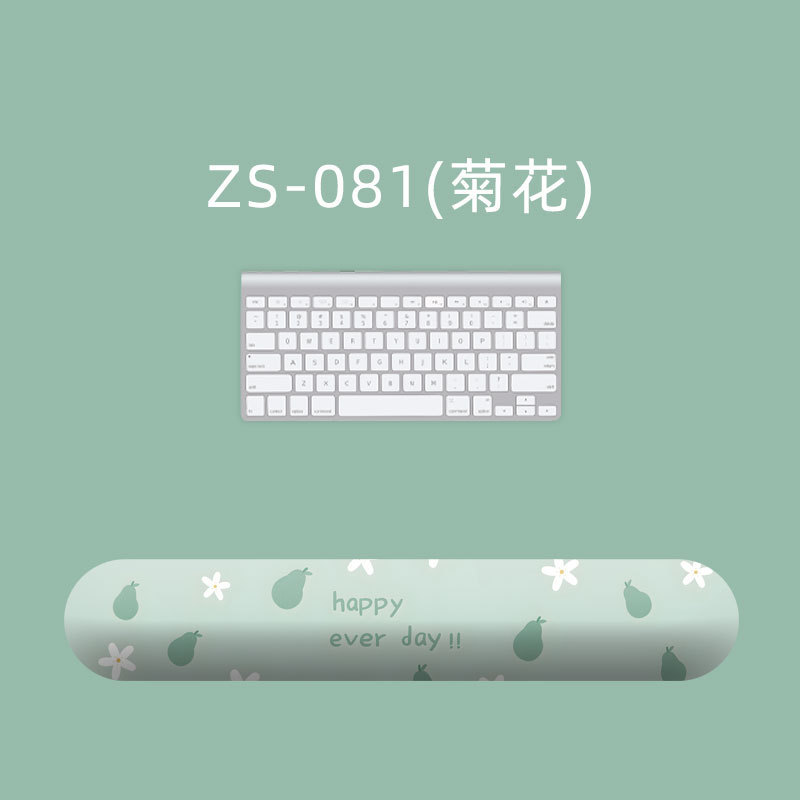 ZS-081