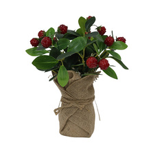 ����С�O���[����ˮ�������ݮˮ��������֦ģ�͵��߷���ˮ���[��