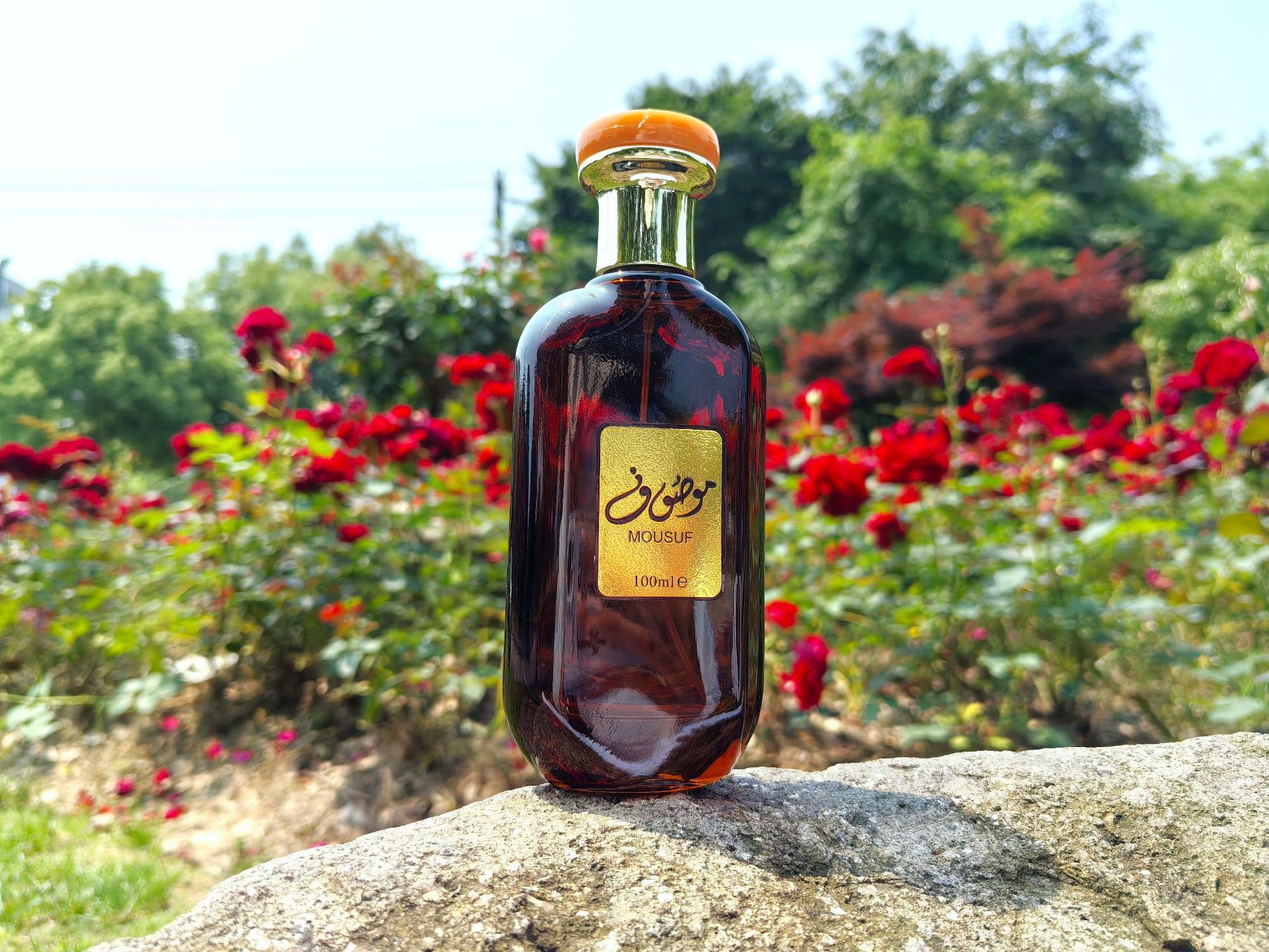 Eau De Toilette Perfume With Deep Woody Notes Middle Eastern Style_voghion.com