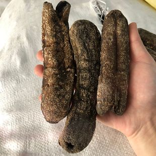 ���l���ɺڻ�Ƥ�������ڻ�Ƥ5-6�^ Ƥ�����l�^�ú�����؛���l